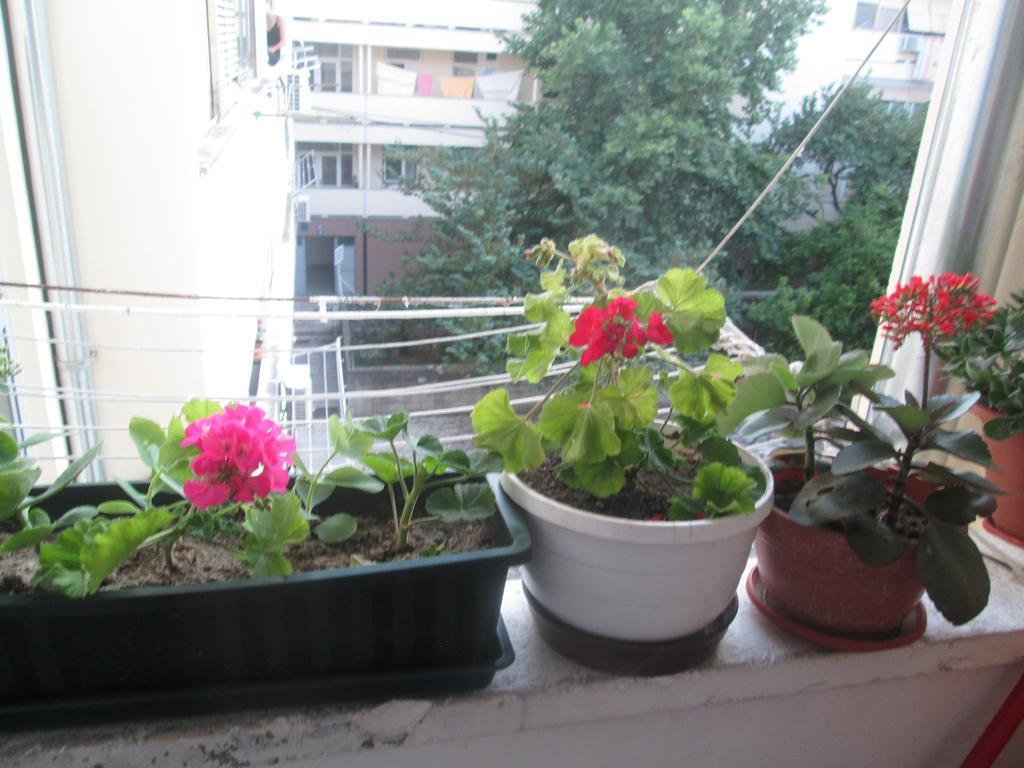 Guest House Marija ซาดาร์ ภายนอก รูปภาพ